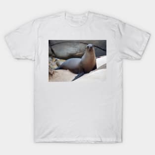 Just Chillin' T-Shirt